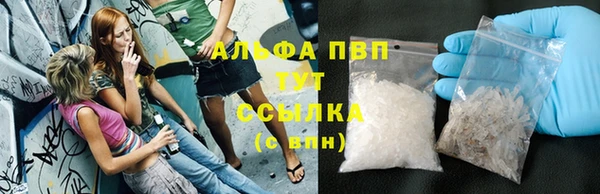 винт Каменка