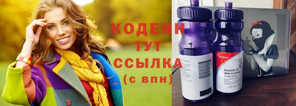 винт Каменка