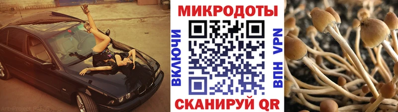 Купить  Тюмень  Псилоцибиновые грибы прущие грибы 
